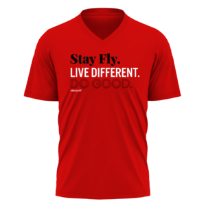 Stay Fly